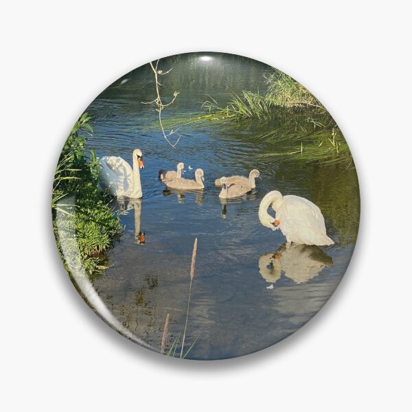 Item preview, Family of Swans, Titchmarsh Nature Reserve, Northamptonshire designed and sold by Kate Anderson Art.
