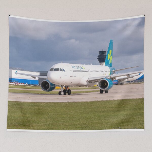 Item preview, MANCHESTER to DUBLIN Aer Lingus Airbus A320-214 designed and sold by Skyframe Aviation.