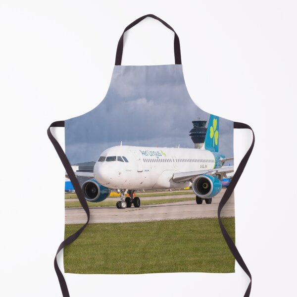 Item preview, MANCHESTER to DUBLIN Aer Lingus Airbus A320-214 designed and sold by Skyframe Aviation.