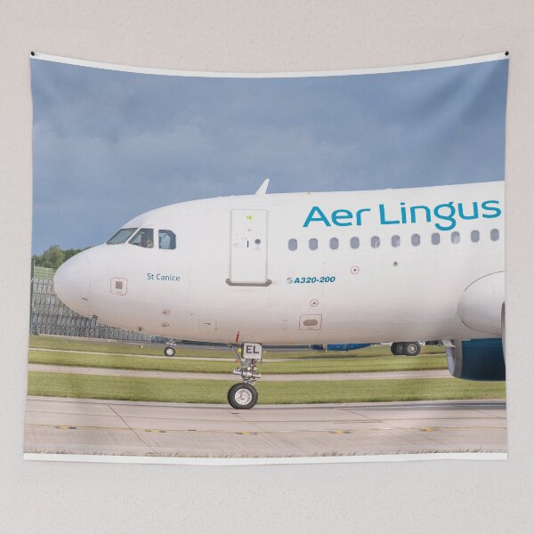 Item preview, MANCHESTER to DUBLIN Aer Lingus Airbus A320-214 designed and sold by Skyframe Aviation.