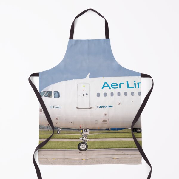 Item preview, MANCHESTER to DUBLIN Aer Lingus Airbus A320-214 designed and sold by Skyframe Aviation.