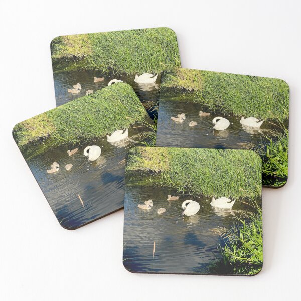 Item preview, Family of Swans, Titchmarsh Nature Reserve, Northamptonshire designed and sold by Kate Anderson Art.