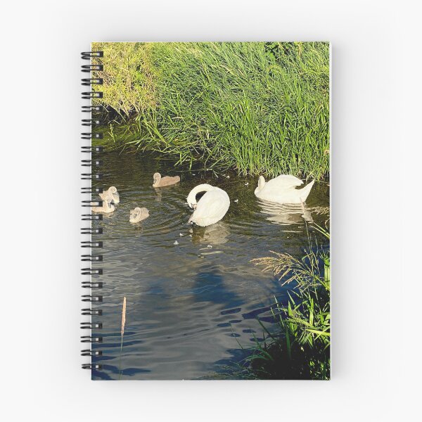Item preview, Family of Swans, Titchmarsh Nature Reserve, Northamptonshire designed and sold by Kate Anderson Art.
