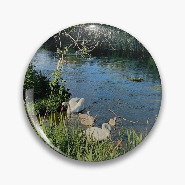 Item preview, Family of Swans, Titchmarsh Nature Reserve, Northamptonshire designed and sold by Kate Anderson Art.