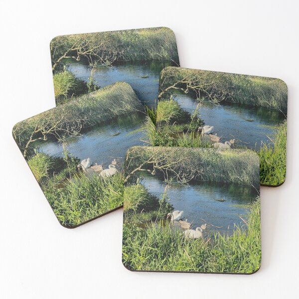 Item preview, Family of Swans, Titchmarsh Nature Reserve, Northamptonshire designed and sold by Kate Anderson Art.