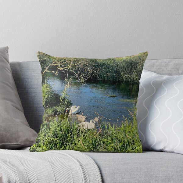 Item preview, Family of Swans, Titchmarsh Nature Reserve, Northamptonshire designed and sold by Kate Anderson Art.
