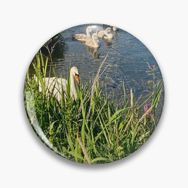Item preview, Family of Swans at Titchmarsh Nature Reserve, Northamptonshire, UK designed and sold by Kate Anderson Art.