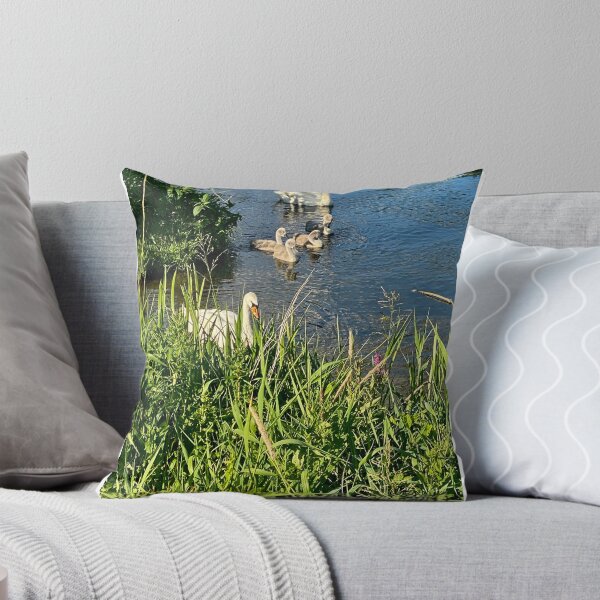 Item preview, Family of Swans at Titchmarsh Nature Reserve, Northamptonshire, UK designed and sold by Kate Anderson Art.