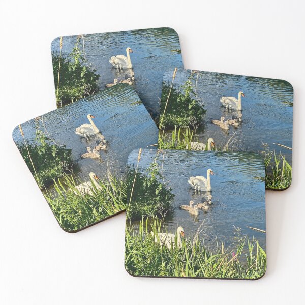 Item preview, Family of Swans at Titchmarsh Nature Reserve, Northamptonshire, UK designed and sold by Kate Anderson Art.