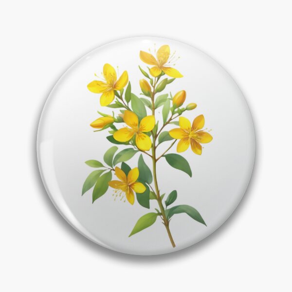 Item preview, St. John's Wort (Hypericum perforatum) designed and sold by HOMETOWN86.