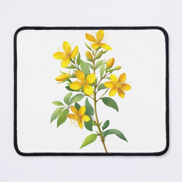 Item preview, St. John's Wort (Hypericum perforatum) designed and sold by HOMETOWN86.