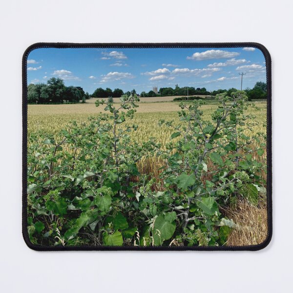 Item preview, View of Aldwincle from Titchmarsh Nature Reserve, Northamptonshire, UK  designed and sold by Kate Anderson Art.