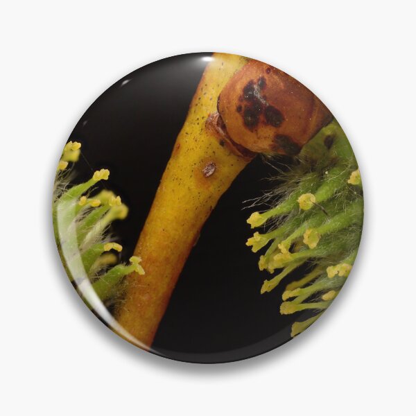 Item preview, Willow Catkins in Early Bloom designed and sold by Goiko7Margarita.