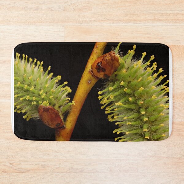 Item preview, Willow Catkins in Early Bloom designed and sold by Goiko7Margarita.