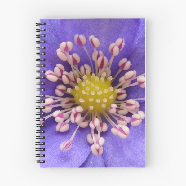 Item preview, Hepatica Blossom in Vivid Detail designed and sold by Goiko7Margarita.