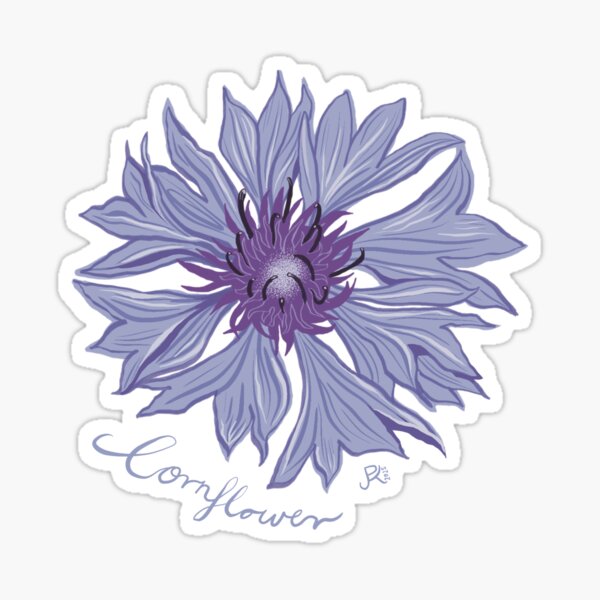 Aperçu de l'œuvre Motif de fleur sauvage de bleuet créée et vendue par PaulaJKnight .