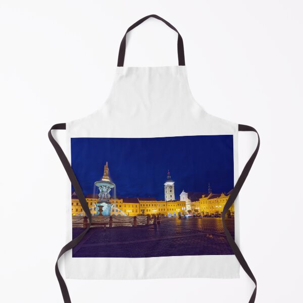 Item preview, Samson Fountain and Black Tower on the Market Square in Budweis designed and sold by Klaus Offermann.
