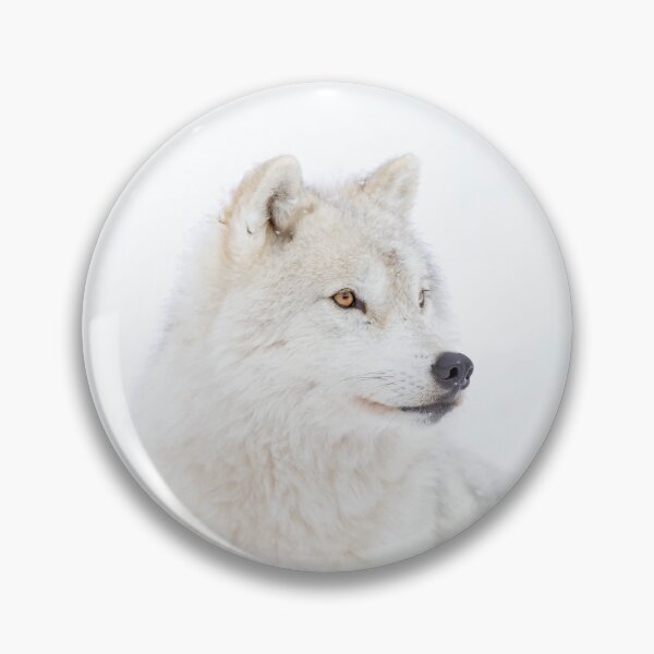 Item preview, Portrait of an Arctic Wolf designed and sold by James Cumming.