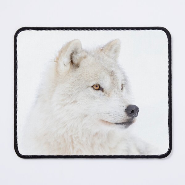 Item preview, Portrait of an Arctic Wolf designed and sold by James Cumming.