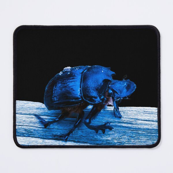 Item preview, Cyano dung beetle designed and sold by CyanoDoods.