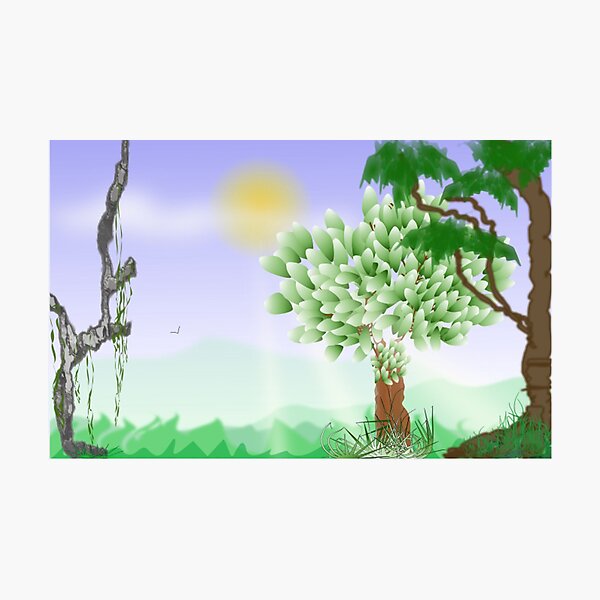 Trees Scene Line Art Design Photographic Print