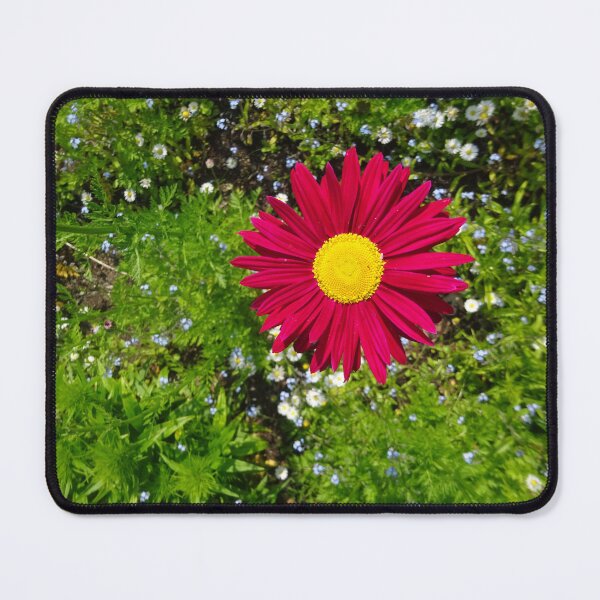 Item preview, Large red flower designed and sold by walterfest.