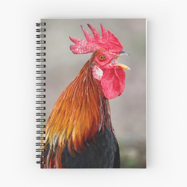 Item preview, Something to Crow About designed and sold by Nicholas Blackwell.