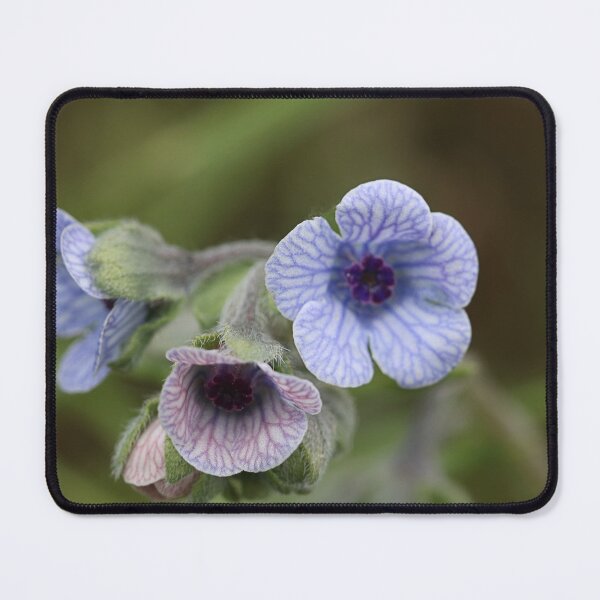 Item preview, Another weed. designed and sold by Paul Pasco.