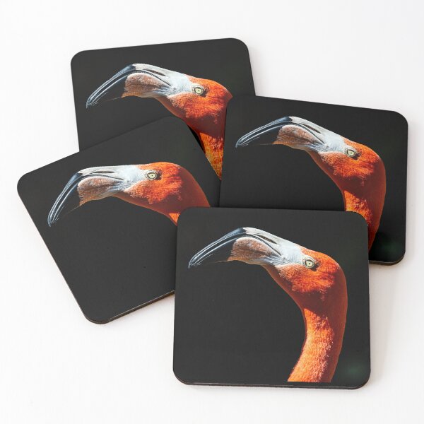 Item preview, Flamingo in the Shadows designed and sold by Florida Wild Prints.