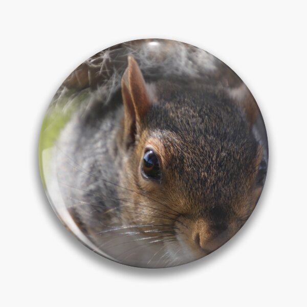 Item preview, Little Curious One designed and sold by Marie Tixier.