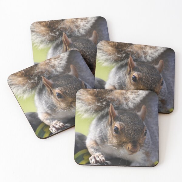 Item preview, Little Curious One designed and sold by Marie Tixier.