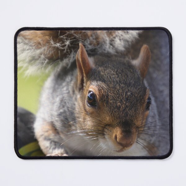 Item preview, Little Curious One designed and sold by Marie Tixier.