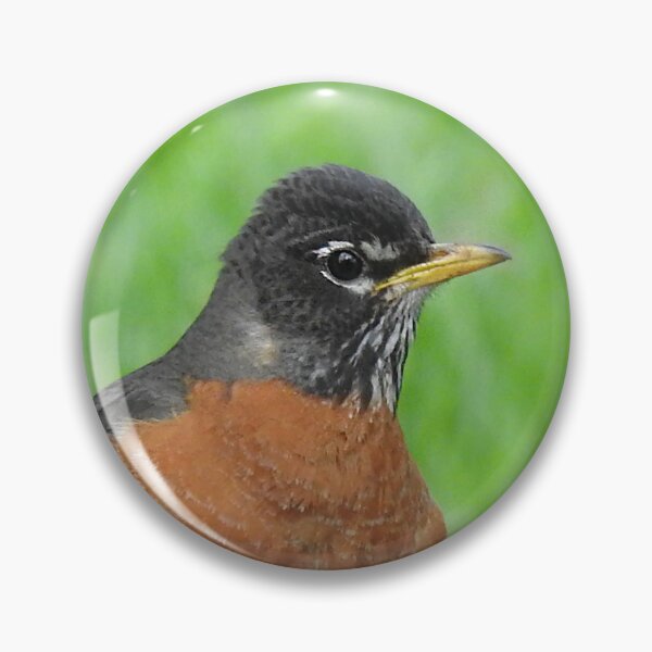 Item preview, Robin on Tree designed and sold by priesterjen.