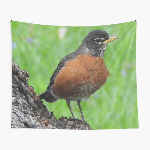 Item preview, Robin on Tree designed and sold by priesterjen.