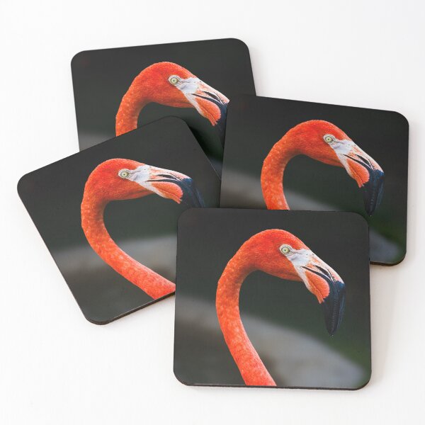 Item preview, Strike a Pose: Flamingo Style designed and sold by Florida Wild Prints.