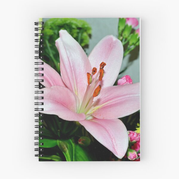 Item preview, Beautiful Pink Lily designed and sold by Frank  Irwin.
