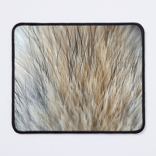 Item preview, Fur designed and sold by Savannah Gibbs.