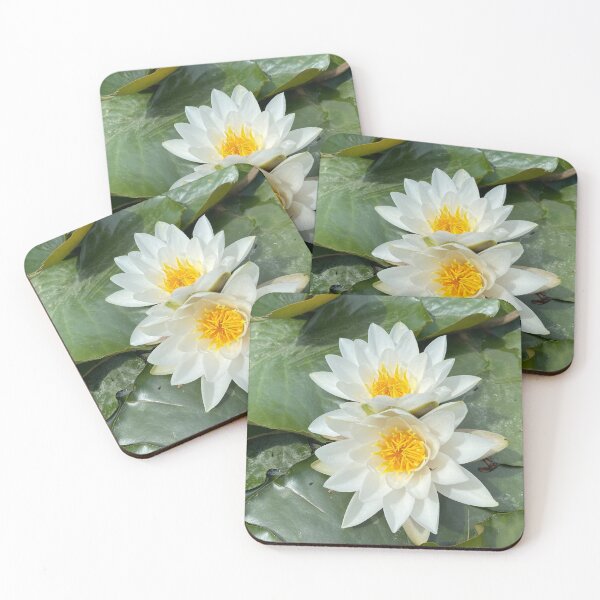 Item preview, Lilies on a pond  designed and sold by Kate Anderson Art.