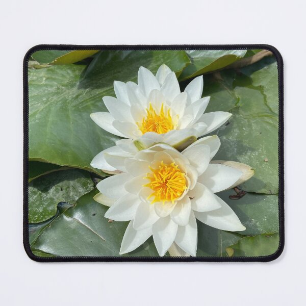 Item preview, Lilies on a pond designed and sold by Kate Anderson Art.