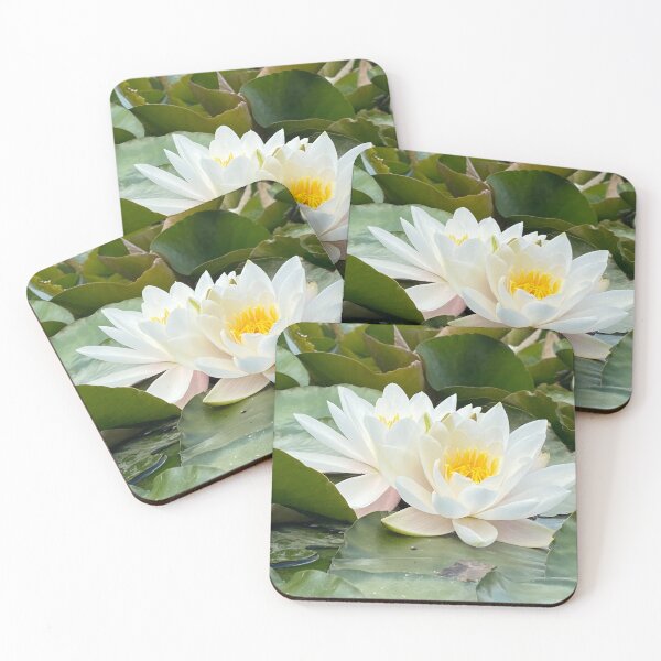 Item preview, Lilies on a pond, Northamptonshire, UK designed and sold by Kate Anderson Art.