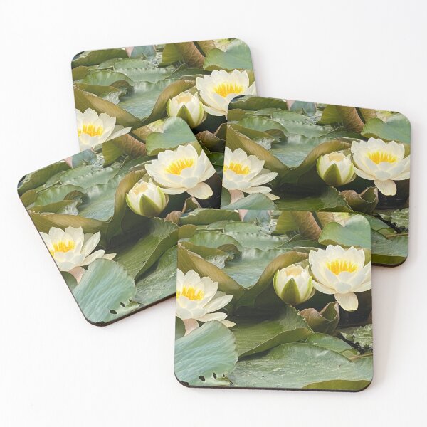 Item preview, Lilies on a pond, Northamptonshire, UK designed and sold by Kate Anderson Art.
