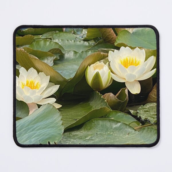 Item preview, Lilies on a pond, Northamptonshire, UK designed and sold by Kate Anderson Art.
