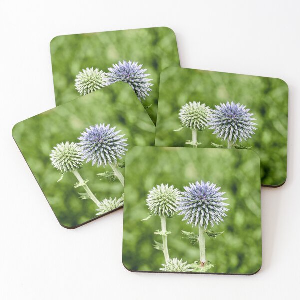 Item preview, Globe Thistle designed and sold by Eidetic Photos.