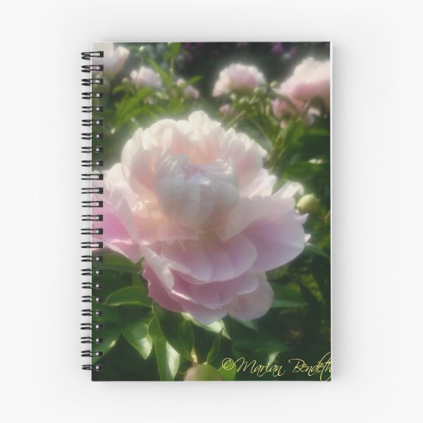 Item preview, Peony hush designed and sold by MarianBendeth.