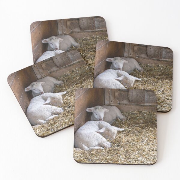Item preview, Lambs Resting in Barn designed and sold by jrtwynam.