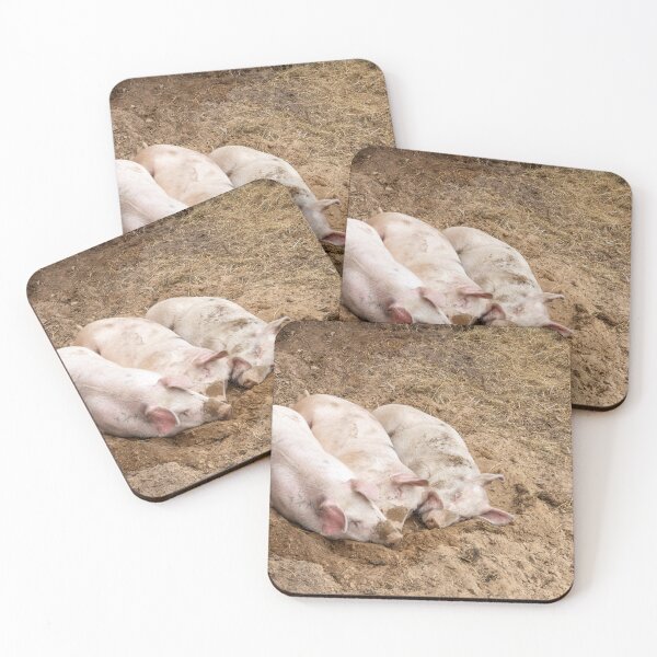 Item preview, Pigs Resting at Bronte Creek designed and sold by jrtwynam.