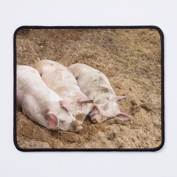 Item preview, Pigs Resting at Bronte Creek designed and sold by jrtwynam.