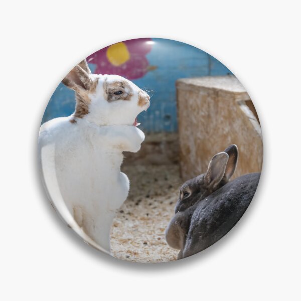 Item preview, Playful Rabbits at Bronte Creek designed and sold by jrtwynam.