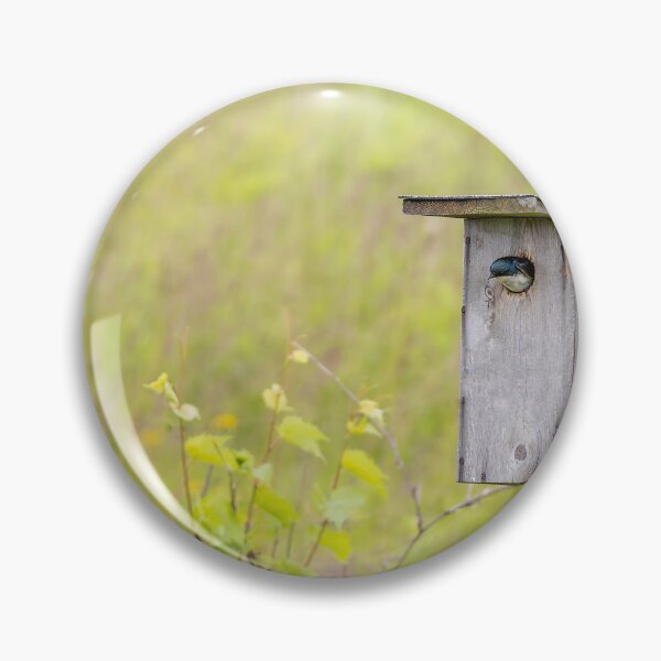 Item preview, Birdhouse in Bronte Creek designed and sold by jrtwynam.