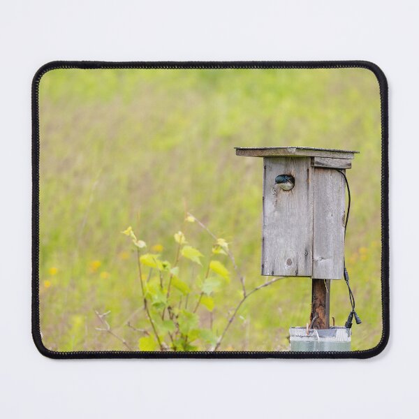 Item preview, Birdhouse in Bronte Creek designed and sold by jrtwynam.